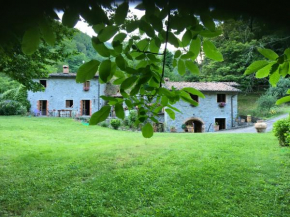 Relax totale nel Bosco Lucca, Piano Di Coreglia-Ghivizzano